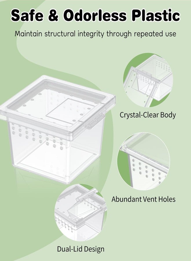 Pawfly 10 Pcs Mini Spider Terrarium Breeding Box, Transparent Plastic Jumping Spider Enclosure Cricket Keeper Tarantula Enclosure, Small Reptile Hatching Container for Scorpion Centipede Gecko Mantis - Image 3